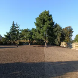 Świeżo wyrównany teren pod trawnik z widocznymi śladami po maszynach, drzewa iglaste i liściaste w tle, ogrodzenie betonowe.