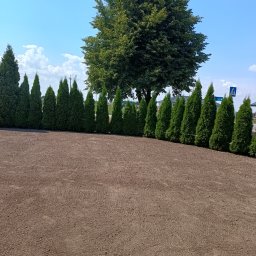 GREEN-BAU TECHNIK Cezary Palęga - Doskonałej Jakości Wycinki Hrubieszów