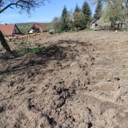 GREEN-BAU TECHNIK Cezary Palęga - Przygotowany teren pod trawnik z widocznymi śladami po bronowaniu, w tle zabudowa jednorodzinna i drzewa. Błękitne niebo.