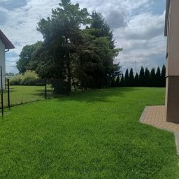 GREEN-BAU TECHNIK Cezary Palęga - Zadbany trawnik przed domem z drzewami iglastymi i liściastymi w tle, ogrodzenie z siatki, fragment budynku z kostką brukową. Pochmurne niebo.