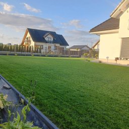 GREEN-BAU TECHNIK Cezary Palęga - Perfekcyjnie skoszony trawnik przed domem jednorodzinnym z ciemnym dachem i ogrodzeniem. Widoczne rabaty kwiatowe i drzewka ozdobne. Słoneczny dzień.