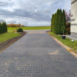 Ułożona, czarna kostka brukowa tworząca ścieżkę w ogrodzie, prowadząca w kierunku zielonego pola. Po bokach ścieżki symetrycznie posadzone tuje i trawa.