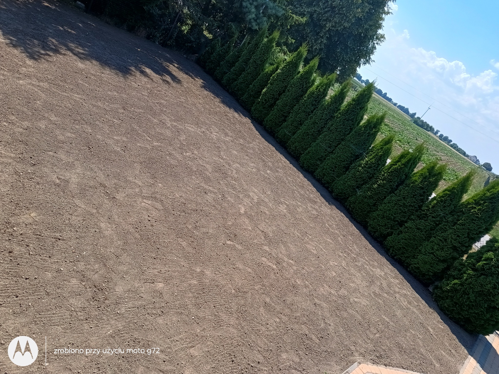 Przygotowany teren pod trawnik z rzędem tuj wzdłuż granicy, widok z góry w słoneczny dzień.