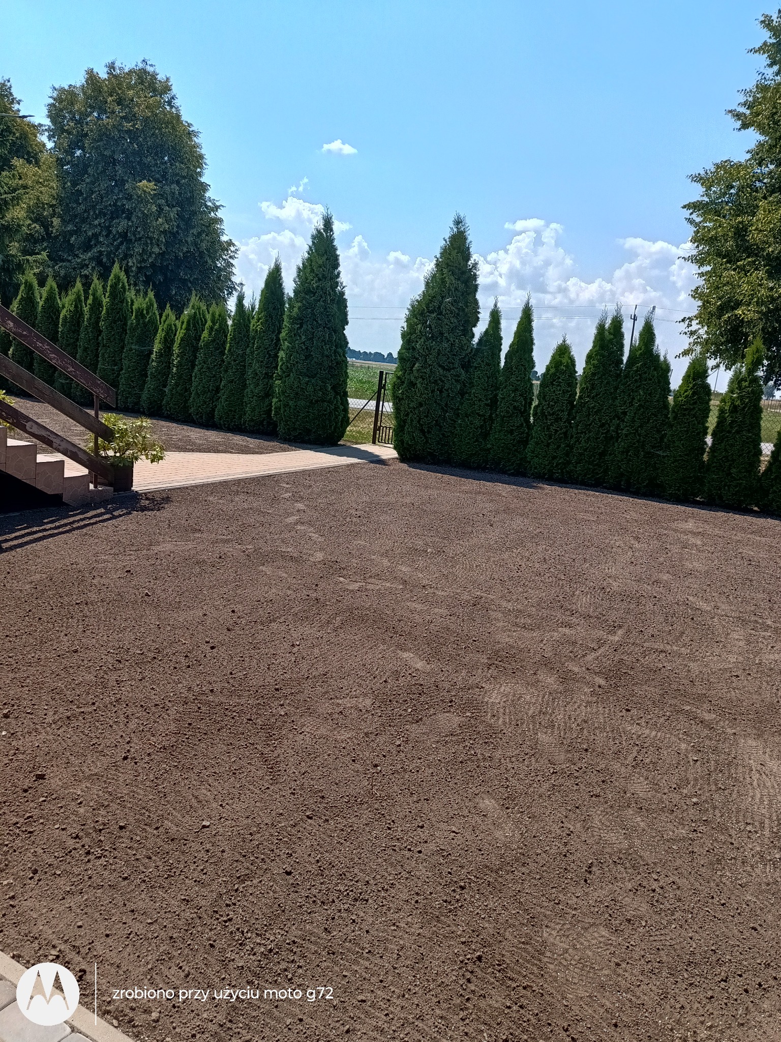 Przygotowany teren pod trawnik z rzędem tuj przy ścieżce, widok na bramkę i pole w tle, słoneczny dzień.