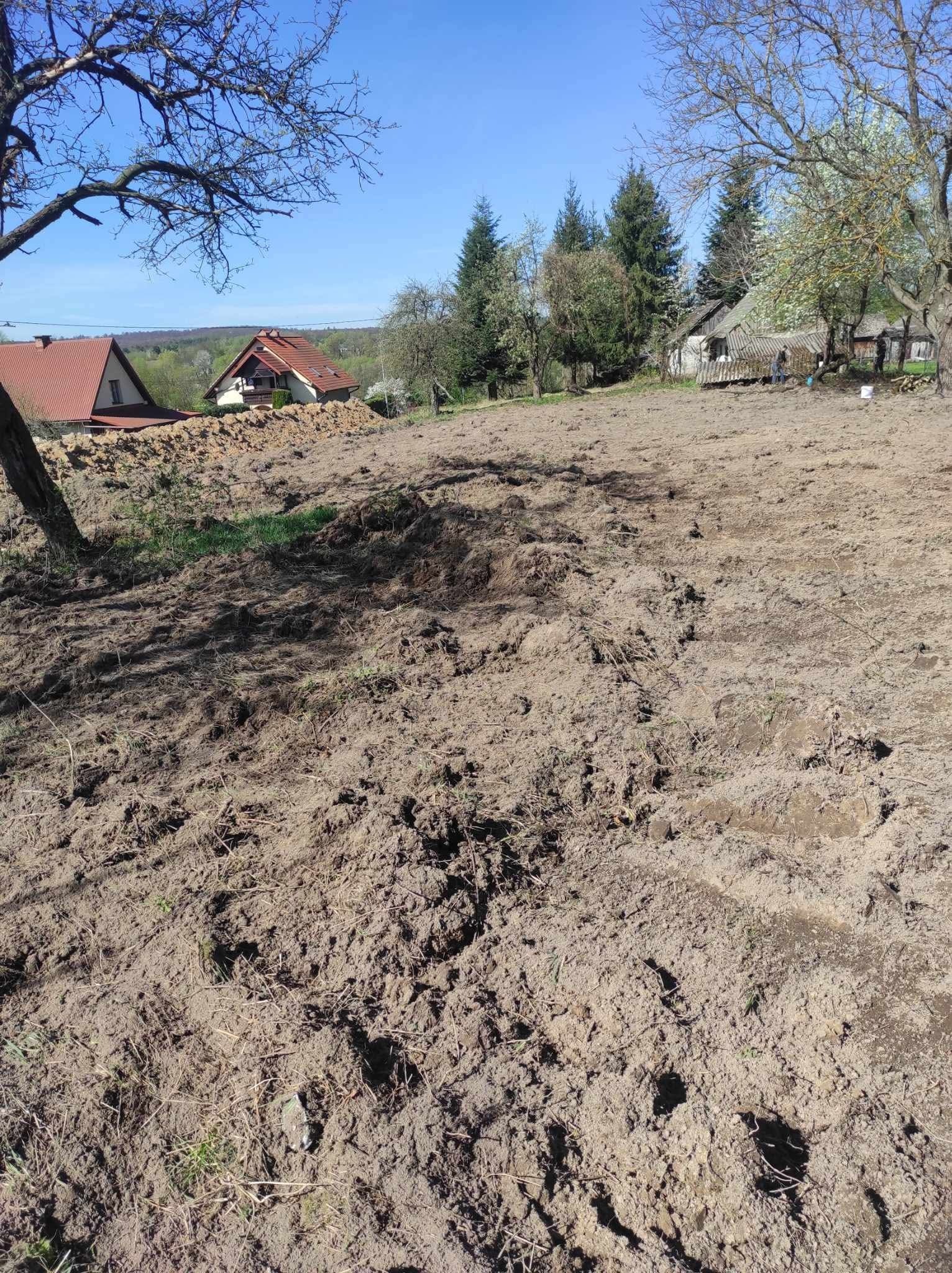 Przygotowany teren pod trawnik z widocznymi śladami po bronowaniu, w tle zabudowa jednorodzinna i drzewa. Błękitne niebo.