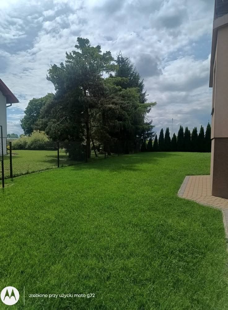 Zadbany trawnik przed domem z drzewami iglastymi i liściastymi w tle, ogrodzenie z siatki, fragment budynku z kostką brukową. Pochmurne niebo.