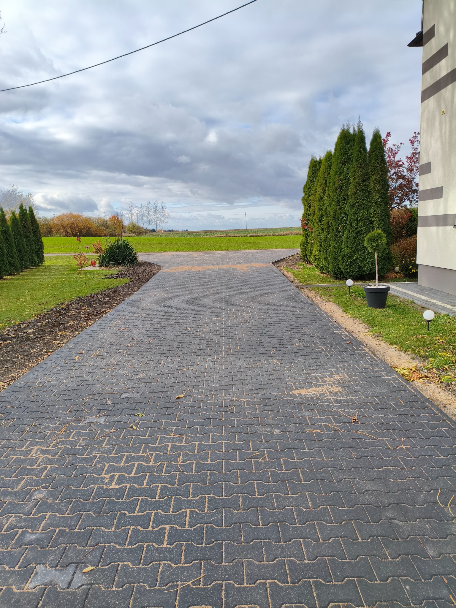 Ułożona, czarna kostka brukowa tworząca ścieżkę w ogrodzie, prowadząca w kierunku zielonego pola. Po bokach ścieżki symetrycznie posadzone tuje i trawa.