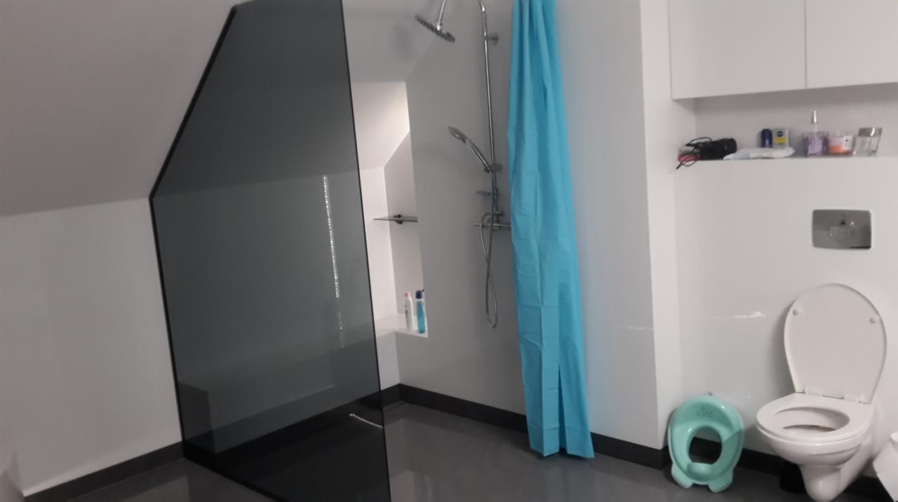 Nowoczesna łazienka z kabiną prysznicową ze szkła dymionego, niebieską zasłoną prysznicową, toaletą i nocnikiem dziecięcym.