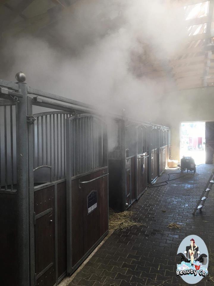 Wnętrze stajni z rzędami boksów, wypełnione gęstą parą, prawdopodobnie po czyszczeniu parowym. Na podłodze widoczne resztki słomy. W tle widoczny sprzęt czyszczący i drabina.