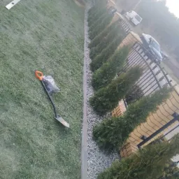 Świeżo posadzony szpaler tuj przy ogrodzeniu z cegły, z narzędziami i workiem ziemi leżącymi na trawniku obok.