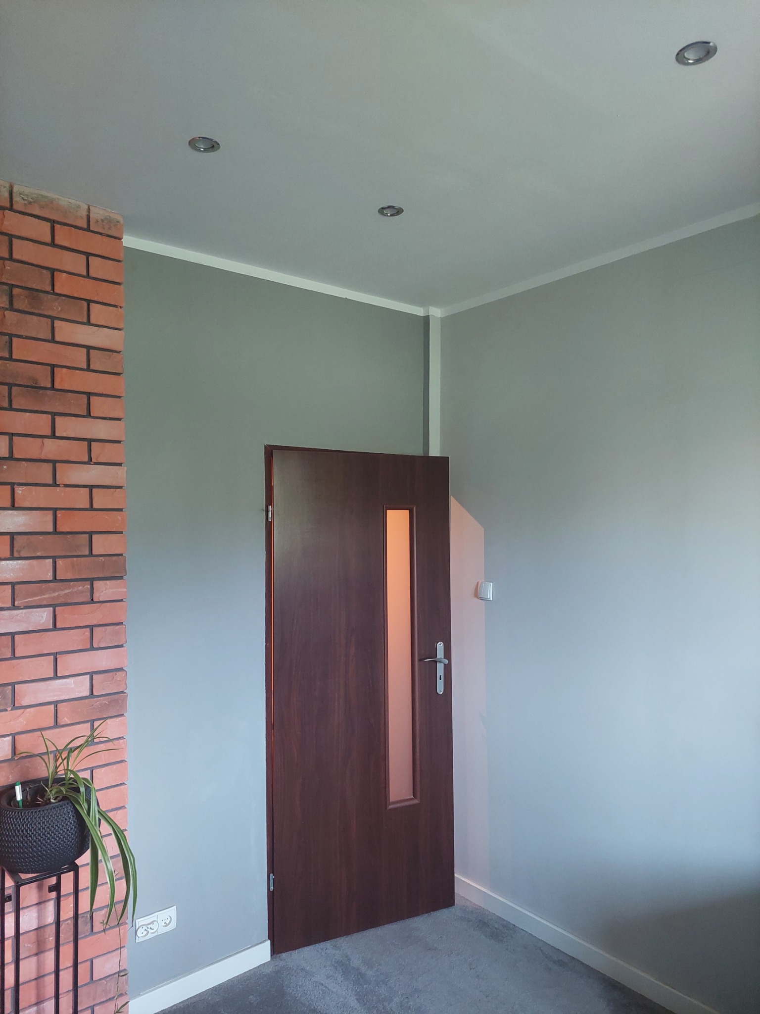 Szara ściana po malowaniu z brązowymi drzwiami i fragmentem ściany z cegły. W rogu stoi doniczka z kwiatem. Widoczne listwy przypodłogowe i oświetlenie sufitowe.