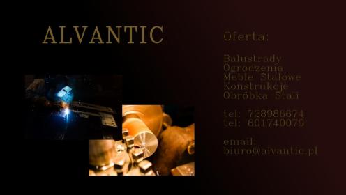 Alvantic Adam Hajduk - Altany Lisów