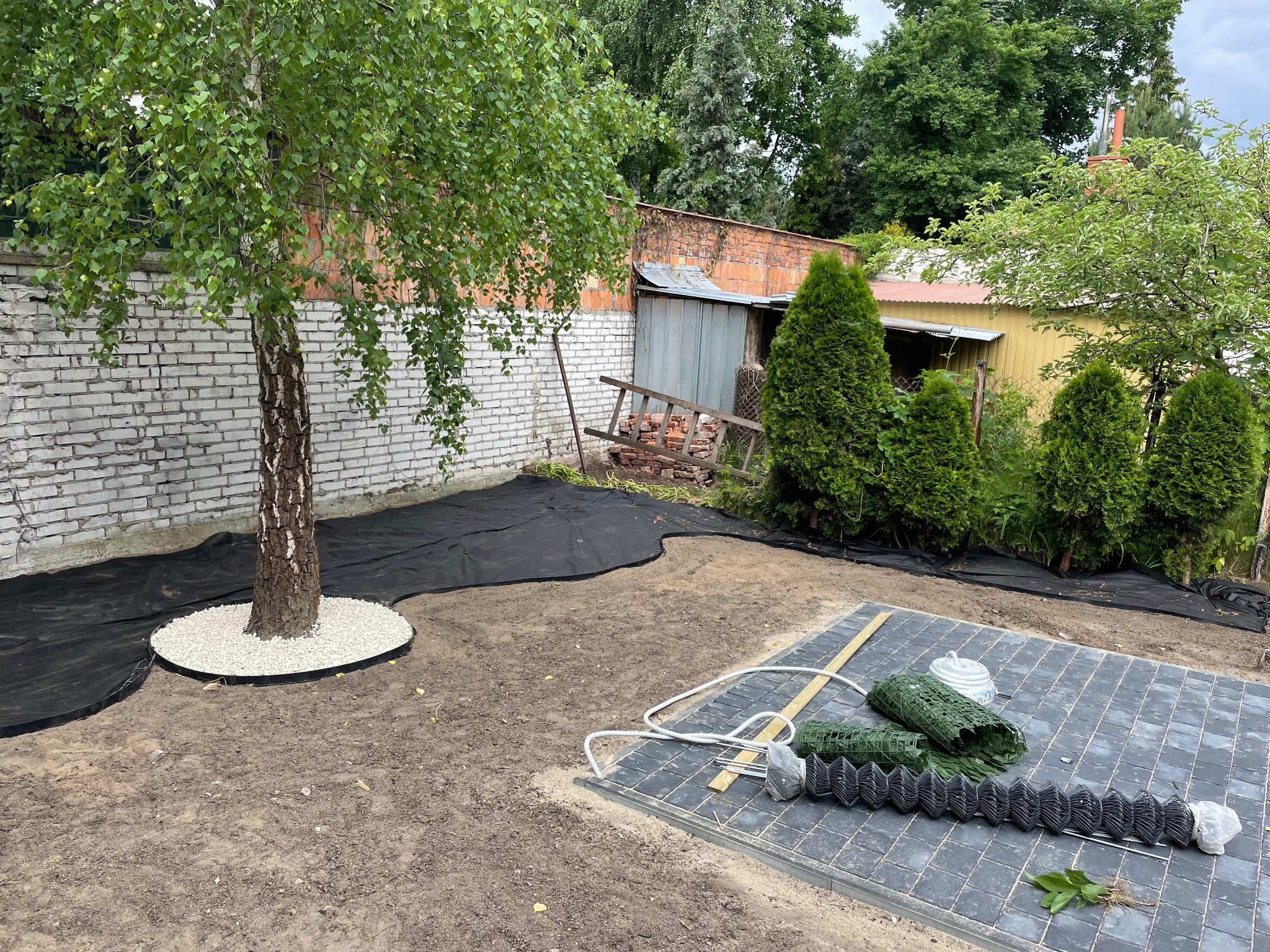 Przygotowanie terenu pod ścieżkę z kostki brukowej w ogrodzie. Widoczna agrowłóknina, obrzeża i materiały budowlane. Brzoza z białym kamieniem u podstawy.