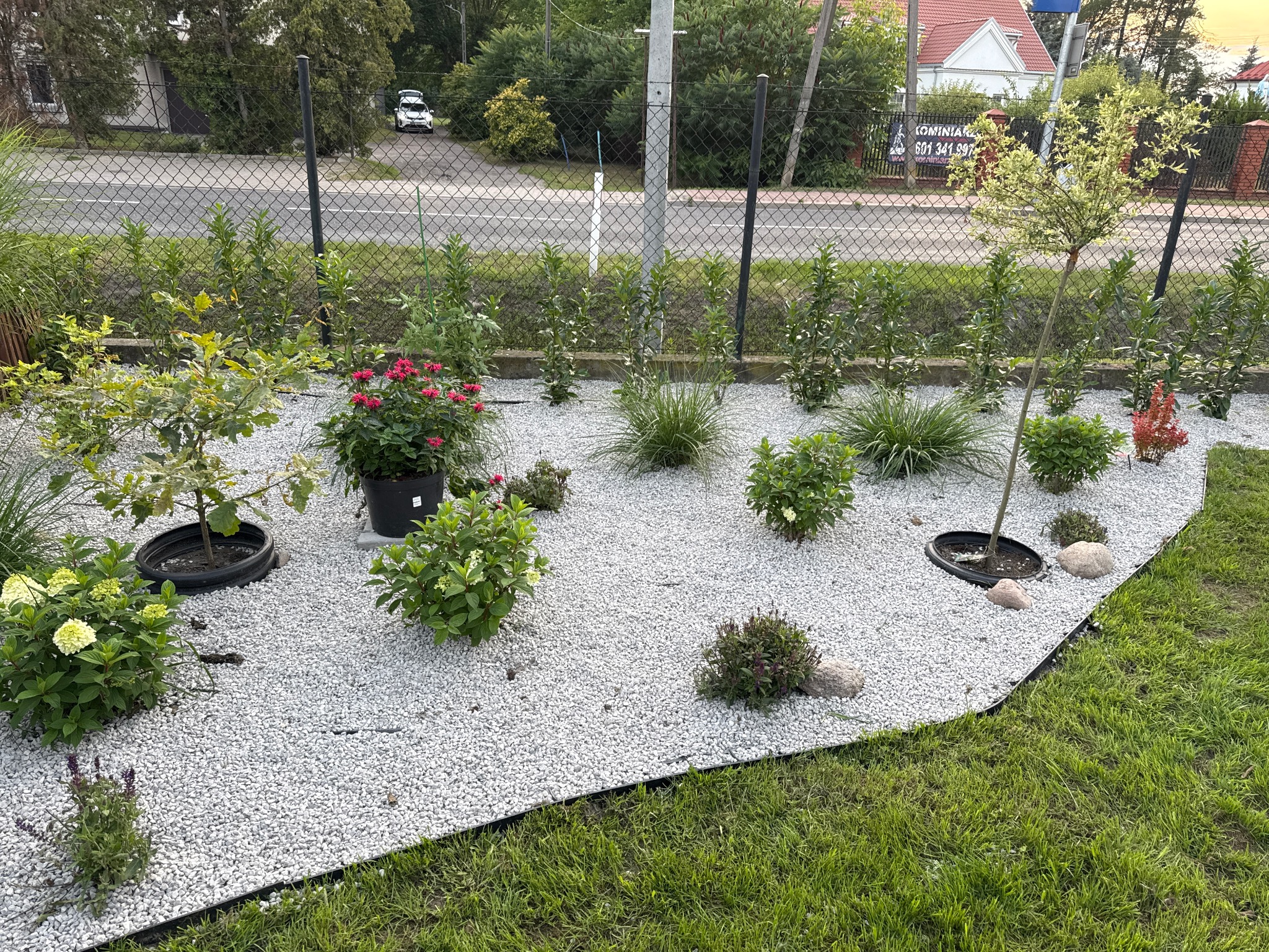 Ogród z białym żwirem, różnorodną roślinnością w donicach i gruncie. Widoczne trawnik, ogrodzenie i ulica w tle. Kompozycja z elementami dekoracyjnymi.