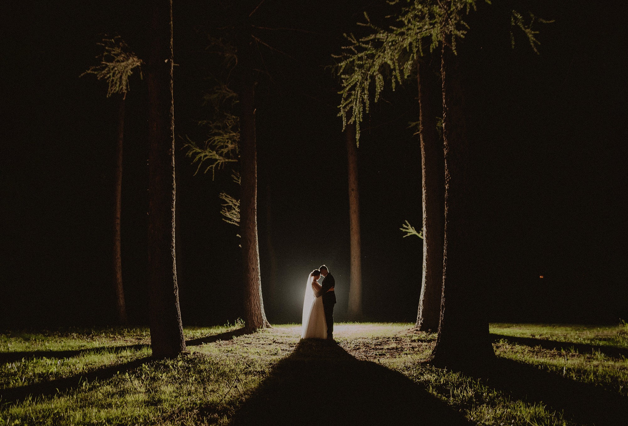 Para młoda obejmująca się w nocy, oświetlona punktowym światłem pośród drzew na trawiastym terenie, ciemne tło.
