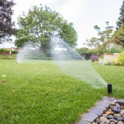 Automatyczne nawadnianie trawnika zraszaczami w ogrodzie z widokiem na budynek z wieżą zegarową w tle.