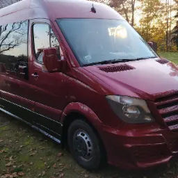 Czerwony bus Mercedes Sprinter VIP z czarnymi detalami, zaparkowany na trawie z opadłymi liśćmi, z odbiciem drzew w oknach.