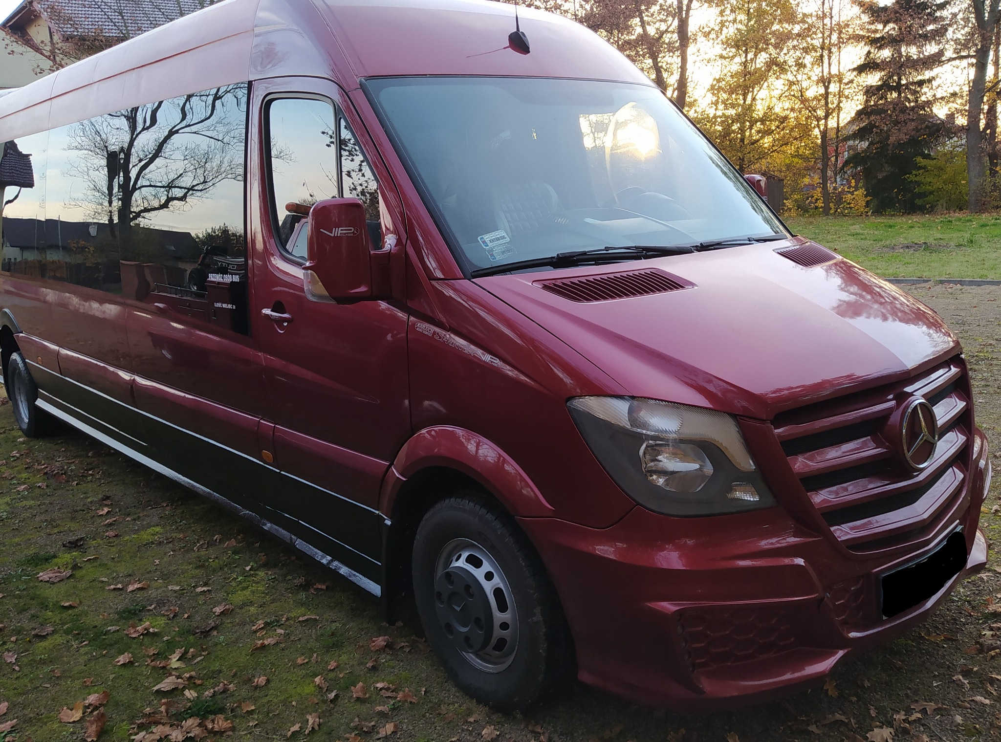 Czerwony bus Mercedes Sprinter VIP z czarnymi detalami, zaparkowany na trawie z opadłymi liśćmi, z odbiciem drzew w oknach.