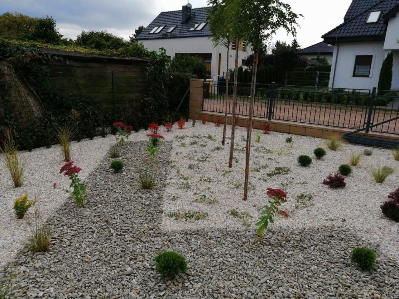 Nowo założony ogród z białym żwirem, młodymi drzewkami zabezpieczonymi taśmą, niskimi krzewami i kwitnącymi na czerwono roślinami, ogrodzony płotem z metalową bramą na tle nowoczesnych domów.