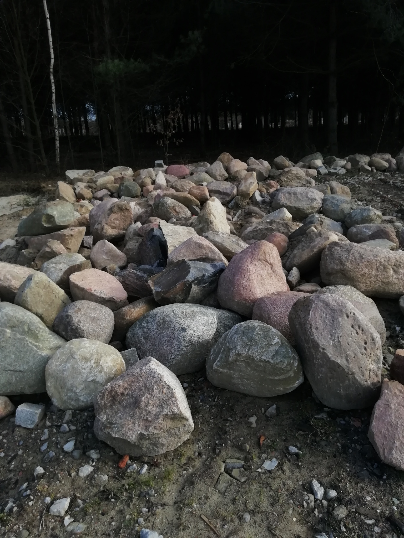 Kupa różnokolorowych kamieni o nieregularnych kształtach na ziemi, z ciemnym lasem w tle.