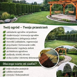 Wycinka drzew Stankowo 1