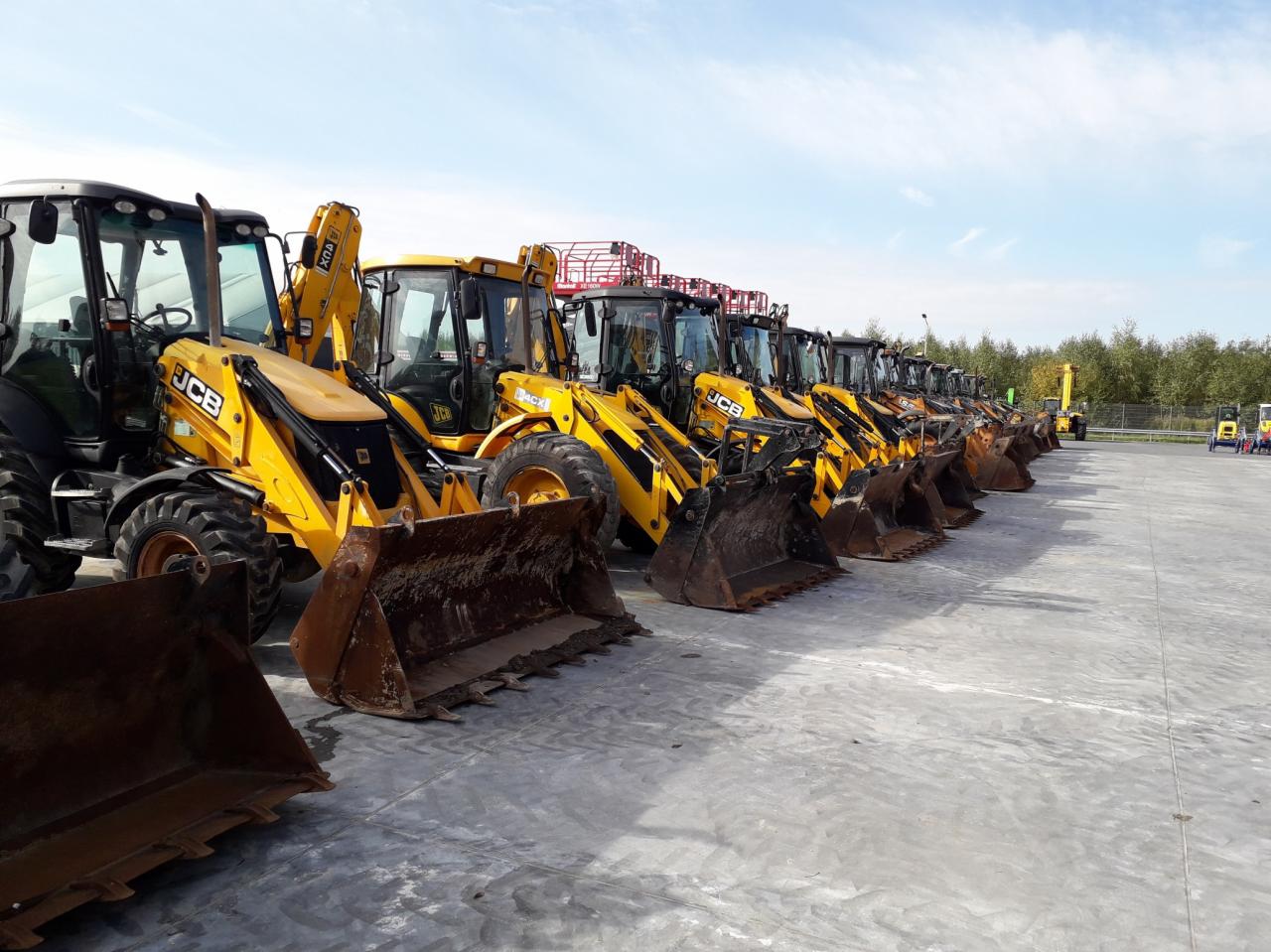 Rząd żółtych koparko-ładowarek JCB ustawionych na placu, widok z boku, z widocznymi łyżkami i kabinami operatorów, z zielonymi drzewami w tle.