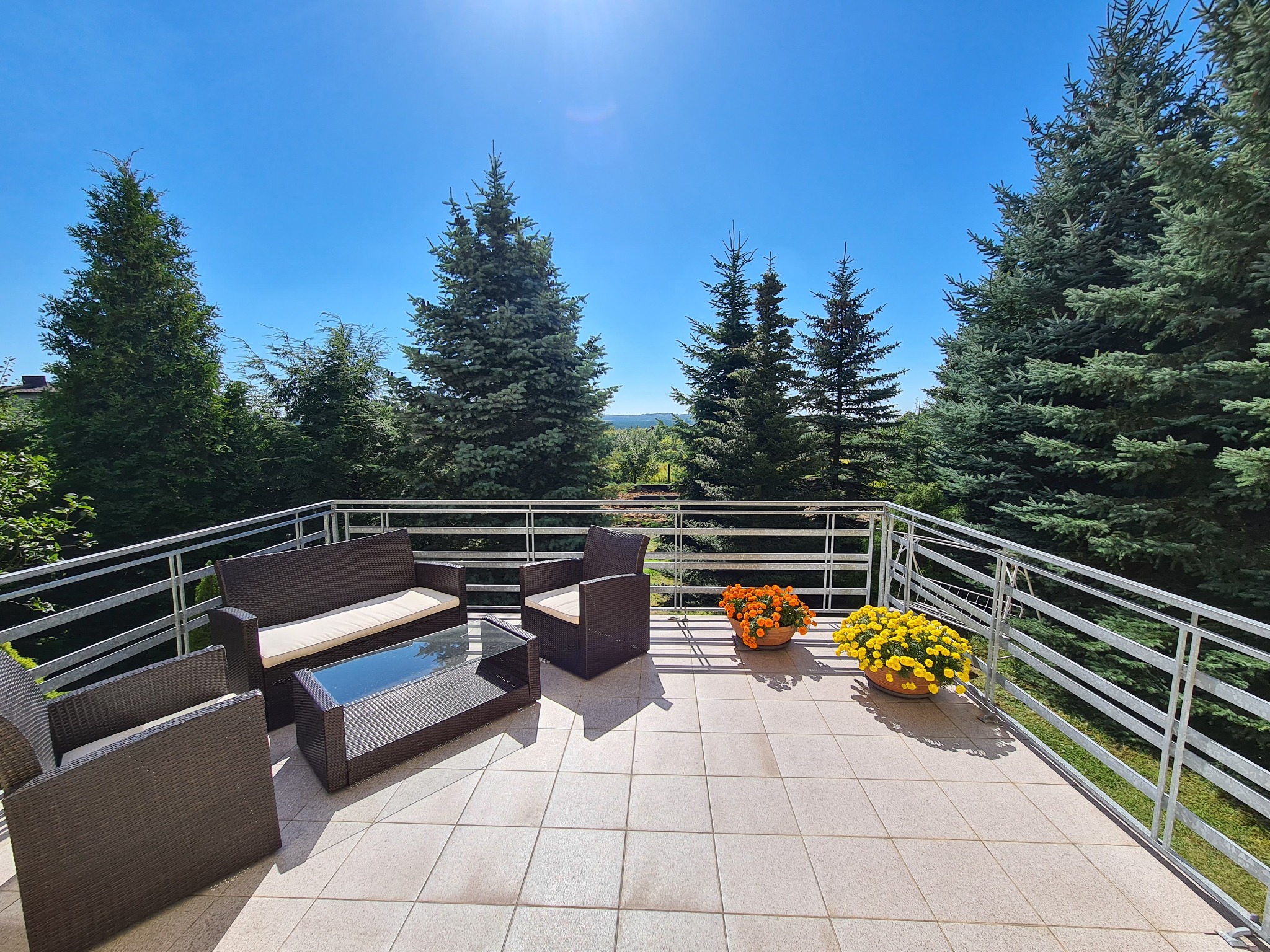 Piękne okolice Rokitna Szlacheckiego