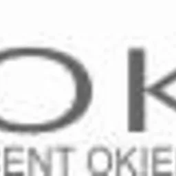 Szare logo firmy ROKEN, producenta okien, drzwi i fasad, z graficznym symbolem budynku.