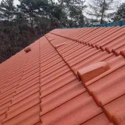 Nowy dach z czerwonej dachówki ceramicznej, widok z dołu pod kątem, w tle las i pochmurne niebo.