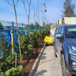 GW Grzegorz Wiśniewski - 'Dwupoziomowy' żywopłot , zlecenie dla firmy