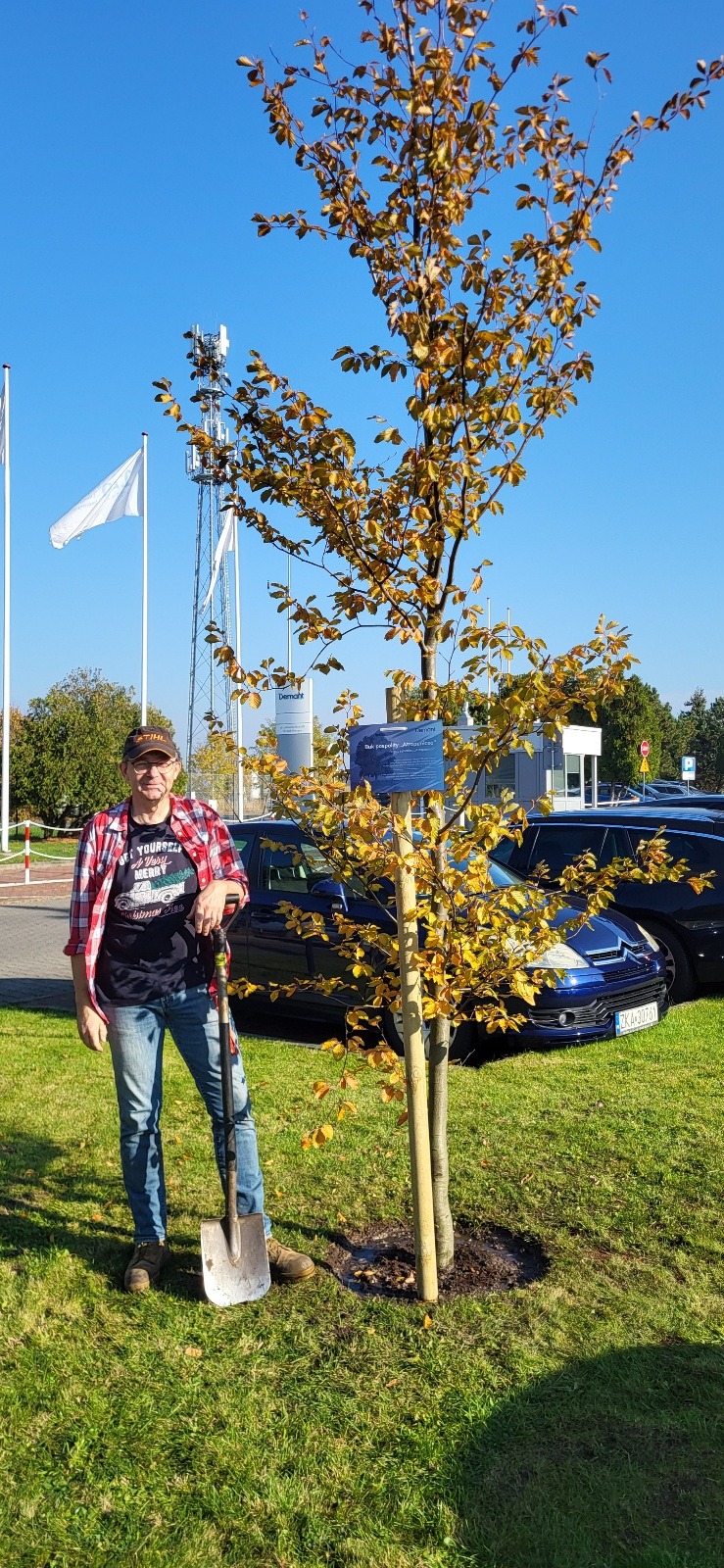Tego buka posadziliśmy na zlecenie, dla firmy na jej jubileusz powstania.