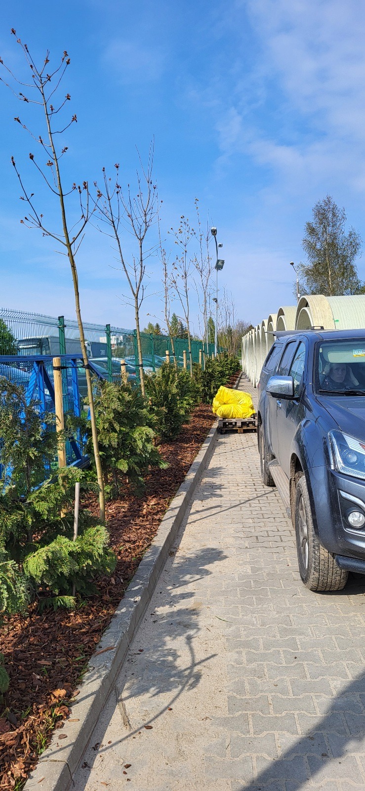 'Dwupoziomowy' żywopłot , zlecenie dla firmy