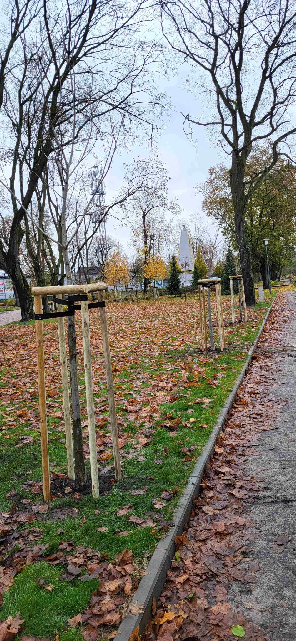 Nowo posadzone drzewa w parku, zabezpieczone drewnianymi konstrukcjami, otoczone opadłymi liśćmi, w tle pomnik i wieża telekomunikacyjna.