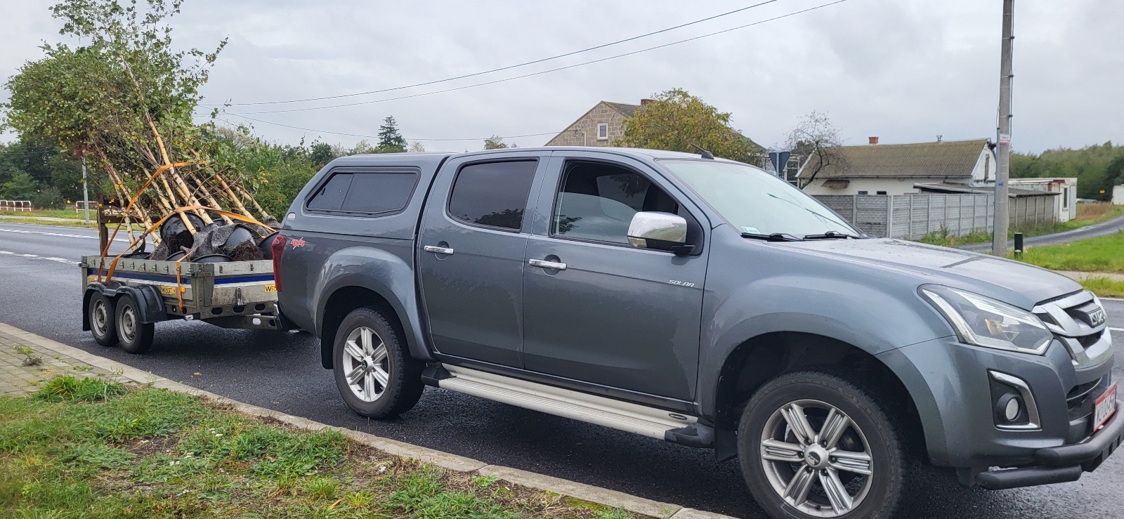 Dostarczamy wybrane drzewa w pojemnikach, sadzimy i pielęgnujemy