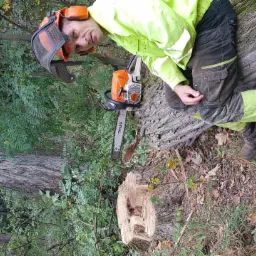 Drwal w odzieży ochronnej siedzi na ściętym pniu drzewa obok pilarki łańcuchowej, widoczny świeżo ścięty fragment drzewa.