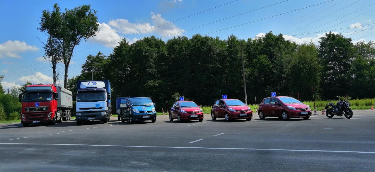Rząd pojazdów oznaczonych literą 'L' na placu manewrowym, w tle drzewa i błękitne niebo; widoczny samochód osobowy, dostawczy, ciężarowy i motocykl.