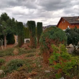 Ogród z różnorodną roślinnością: strzyżone tuje kolumnowe, krzewy iglaste i liściaste, kora rozsypana na ziemi, w tle drewniany dom i pochmurne niebo.