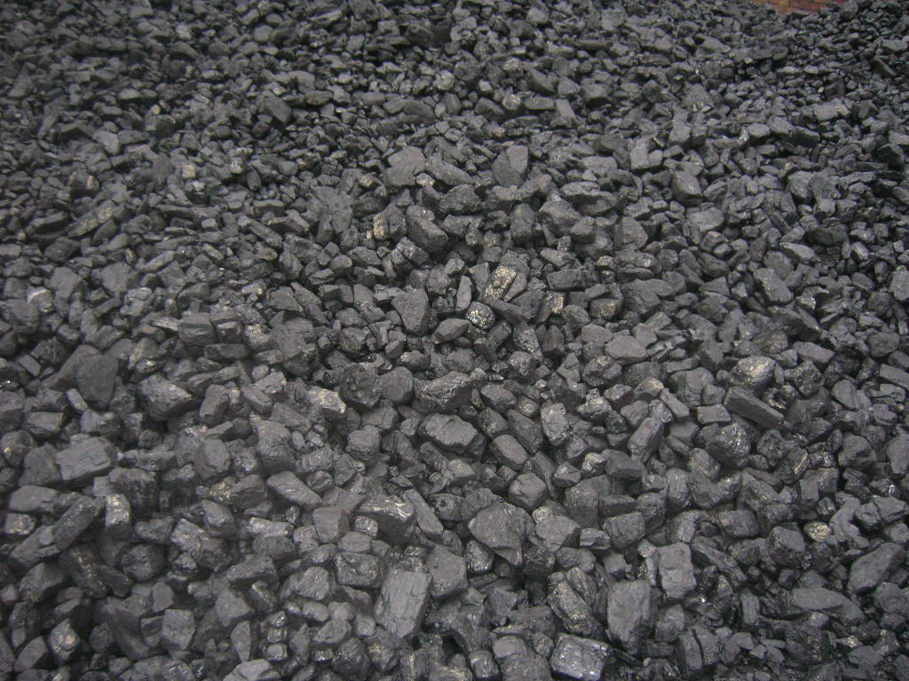 Kupa węgla orzech o nieregularnych kształtach, lekko wilgotna, z widocznymi refleksami światła na powierzchni.