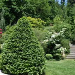 Urozmaicony ogród na zboczu wzgórza z formowanymi drzewami iglastymi, kwitnącymi krzewami i kamiennymi schodami prowadzącymi w górę.