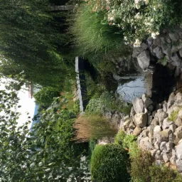 Ogród z małym strumieniem i kamiennym brzegiem, otoczony różnorodną roślinnością, w tym trawami ozdobnymi i krzewami.