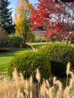 Jesienny ogród z kulistymi krzewami, trawami ozdobnymi i drzewami o żółtych i czerwonych liściach w tle, widok w kierunku huśtawki.