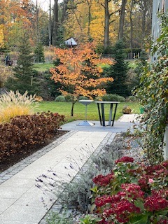 Ogród z ścieżką z jasnoszarej kostki granitowej, obrzeża z lawendy i hortensji bukietowych w odcieniach czerwieni, trawnik z drzewami iglastymi i klonem o pomarańczowych liściach, w tle mała...