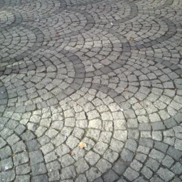 Ułożona z kostki granitowej nawierzchnia w kształcie półkolistych wzorów, z fragmentem nogi w lewym górnym rogu kadru i kilkoma opadłymi liśćmi.