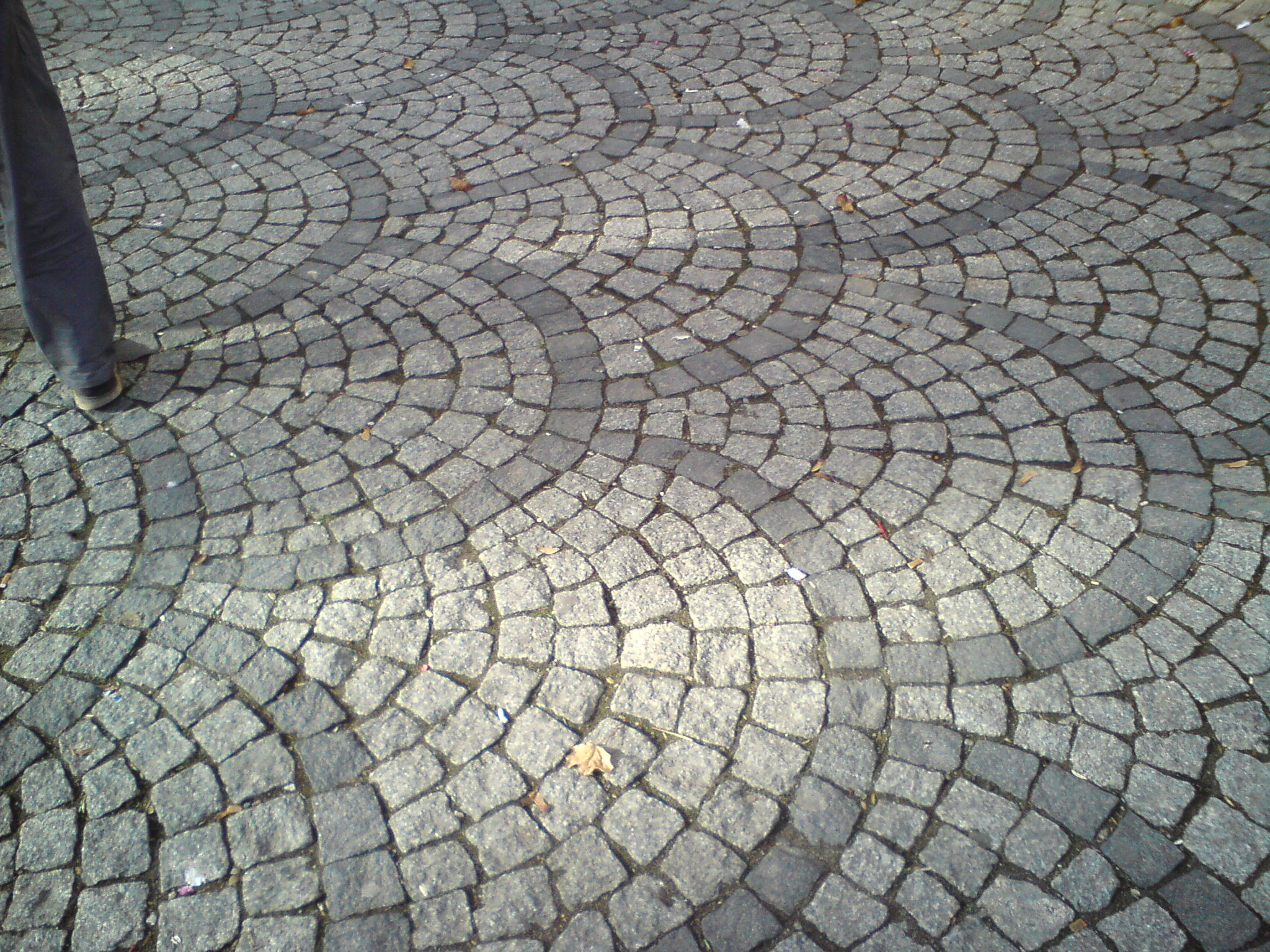 Ułożona z kostki granitowej nawierzchnia w kształcie półkolistych wzorów, z fragmentem nogi w lewym górnym rogu kadru i kilkoma opadłymi liśćmi.