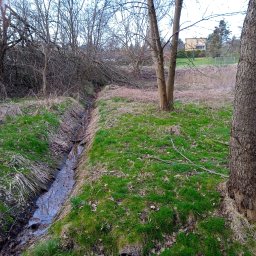 Projektujemy zbiornik retencyjny w Jastrzębiu Zdrój