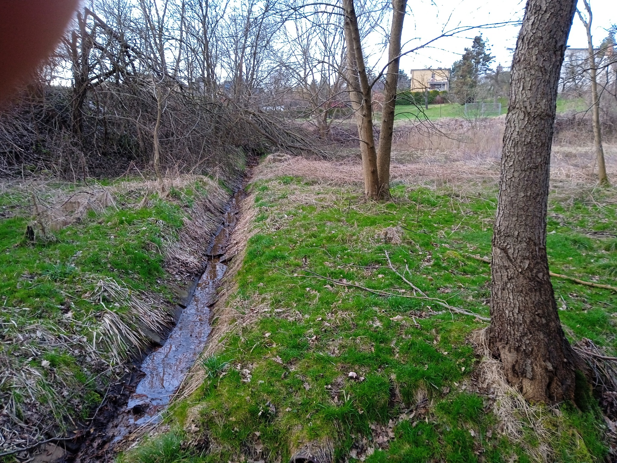 Projektujemy zbiornik retencyjny w Jastrzębiu Zdrój