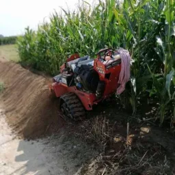 Czerwona frezarka do rowów Ditch Witch na gąsienicach, wykonująca wykop wzdłuż pola kukurydzy, z widocznymi świeżo wykopanym rowem i stertą ziemi po stronie maszyny.