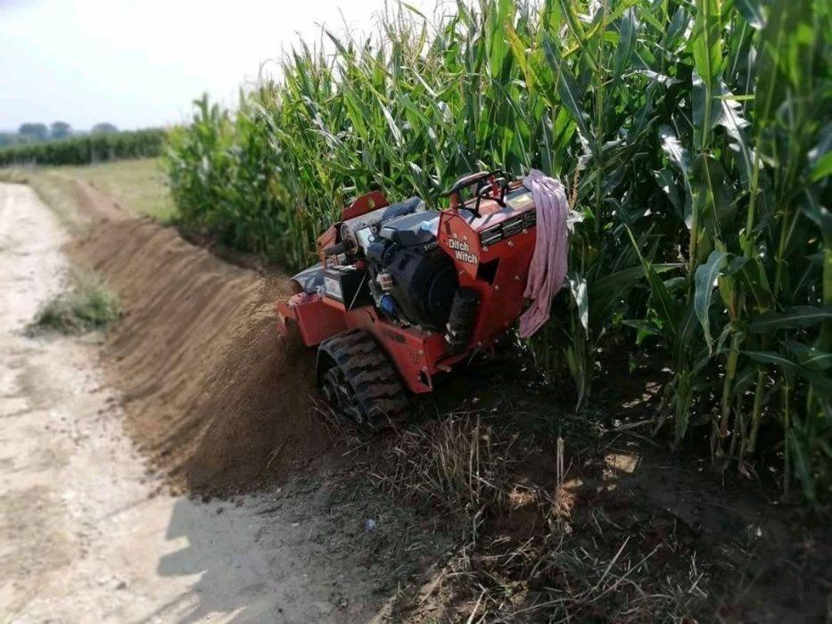 Czerwona frezarka do rowów Ditch Witch na gąsienicach, wykonująca wykop wzdłuż pola kukurydzy, z widocznymi świeżo wykopanym rowem i stertą ziemi po stronie maszyny.