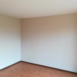 Best Color - Pomalowane na beżowo ściany w pustym pokoju z panelami podłogowymi w odcieniach brązu, widok na róg pomieszczenia.