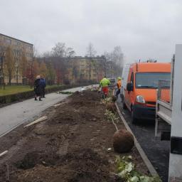 Pielęgnacja ogrodów Brzeszcze 4